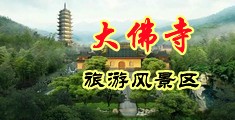 免费的骚逼视频网站中国浙江-新昌大佛寺旅游风景区